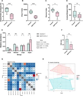 Effect of BAFF blockade on the B cell receptor repertoire and transcriptome in a mouse model of systemic lupus erythematosus